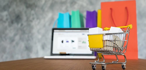 Ecommerce-Website-Owners